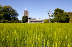 Hethersett, Norfolk  15.jpg